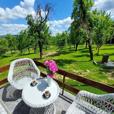 Vikendica Gaj Villa Gornji Milanovac Eksteriør billede