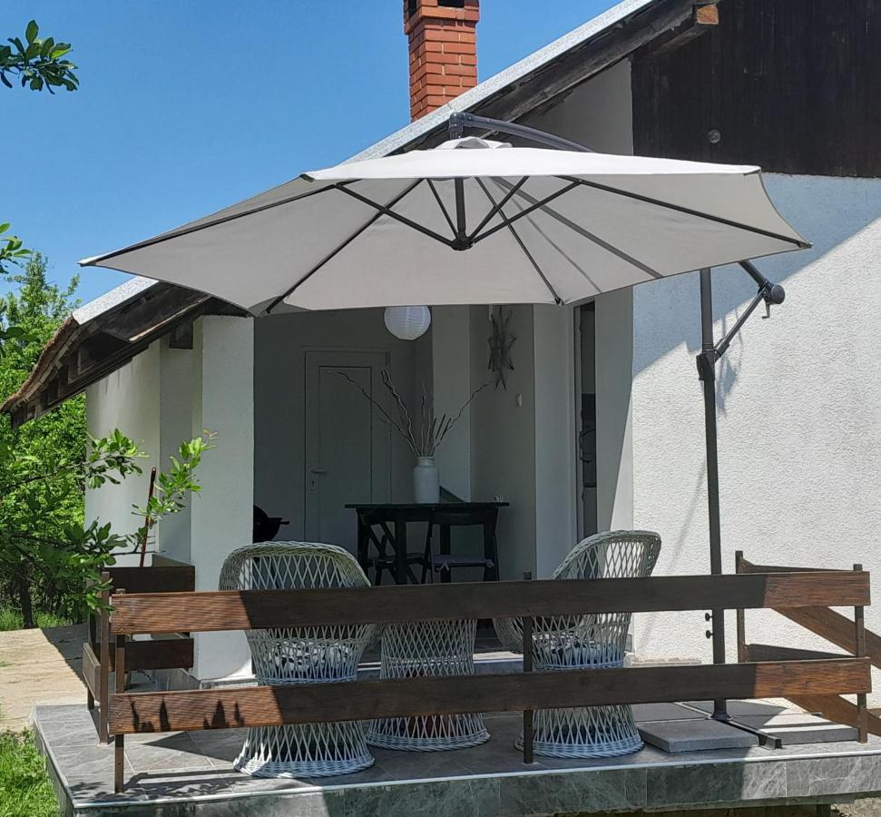 Vikendica Gaj Villa Gornji Milanovac Eksteriør billede